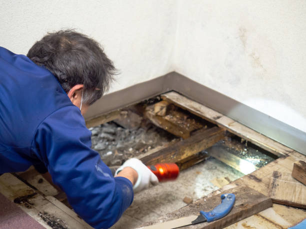 Best Water Damage Restoration  in Spencer, OK