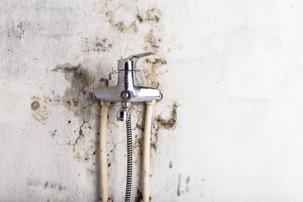 Office Mold Removal Services in Spencer, OK