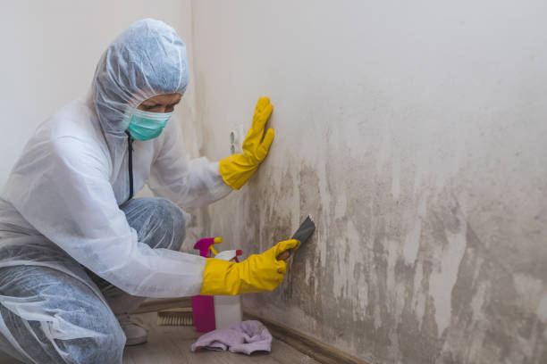 Best Office Mold Removal Services  in Spencer, OK