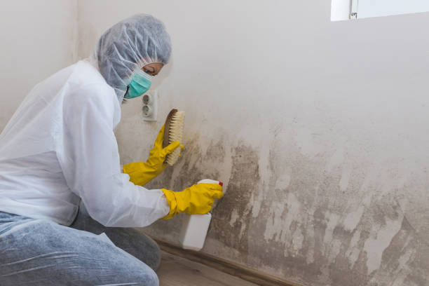 Home Mold Removal in Spencer, OK