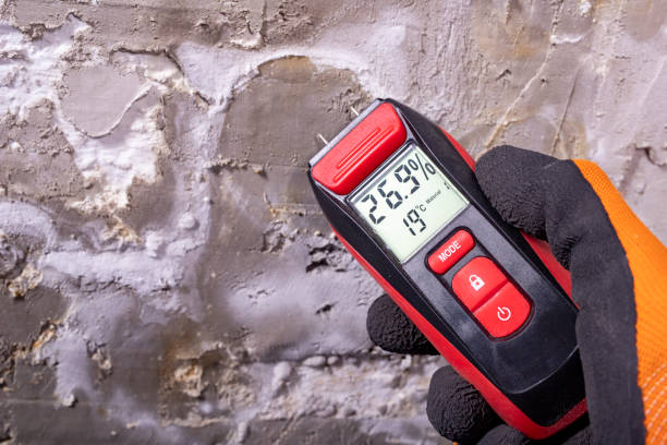 Best Best Mold Removal Companies  in Spencer, OK