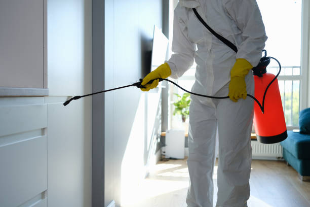 Best Office Mold Removal Services  in Spencer, OK