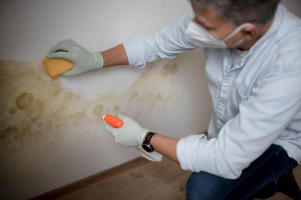 Best Toxic Mold Removal  in Spencer, OK