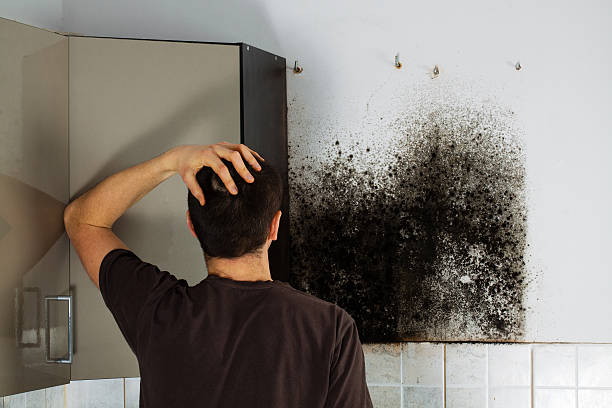 Best Attic Mold Removal  in Spencer, OK